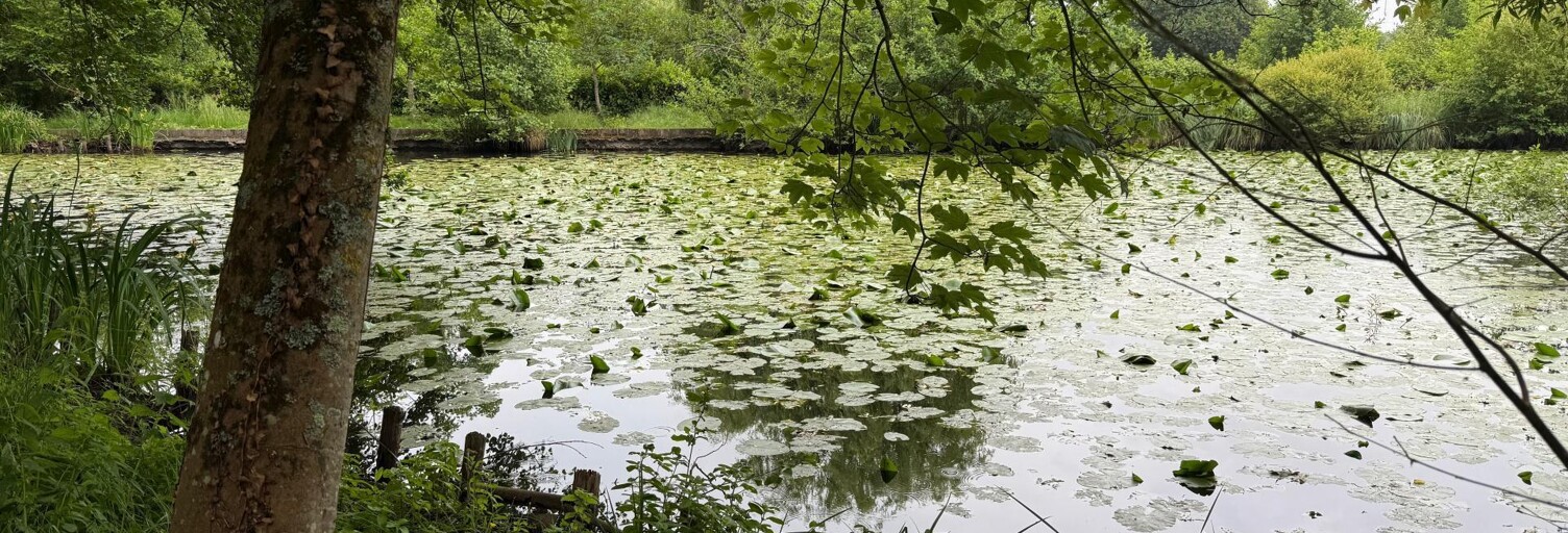 Terrain  4457 m² à vendre à Petit-Auverné (44670)