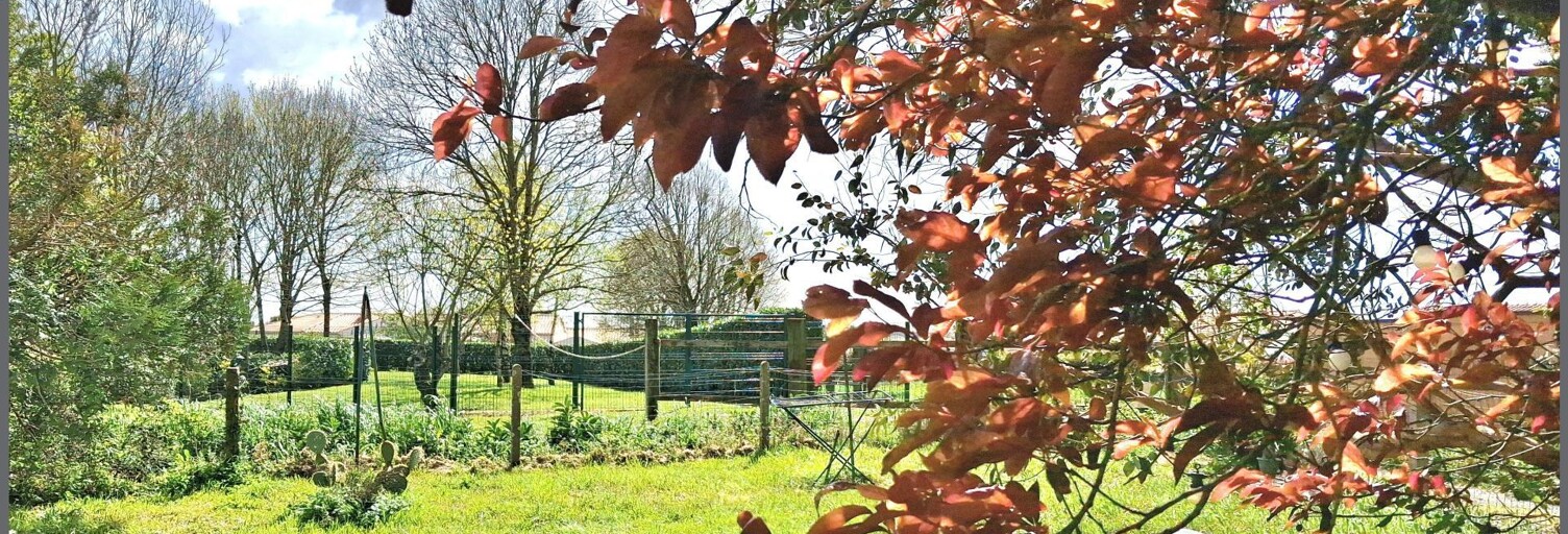 Maison 5 Pièces 73 m² à vendre à Angles (85750)