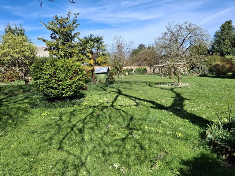 Terrain — photo 1