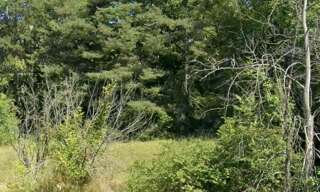 Terrain  717 m² à vendre à Saint-Sauveur (05200)