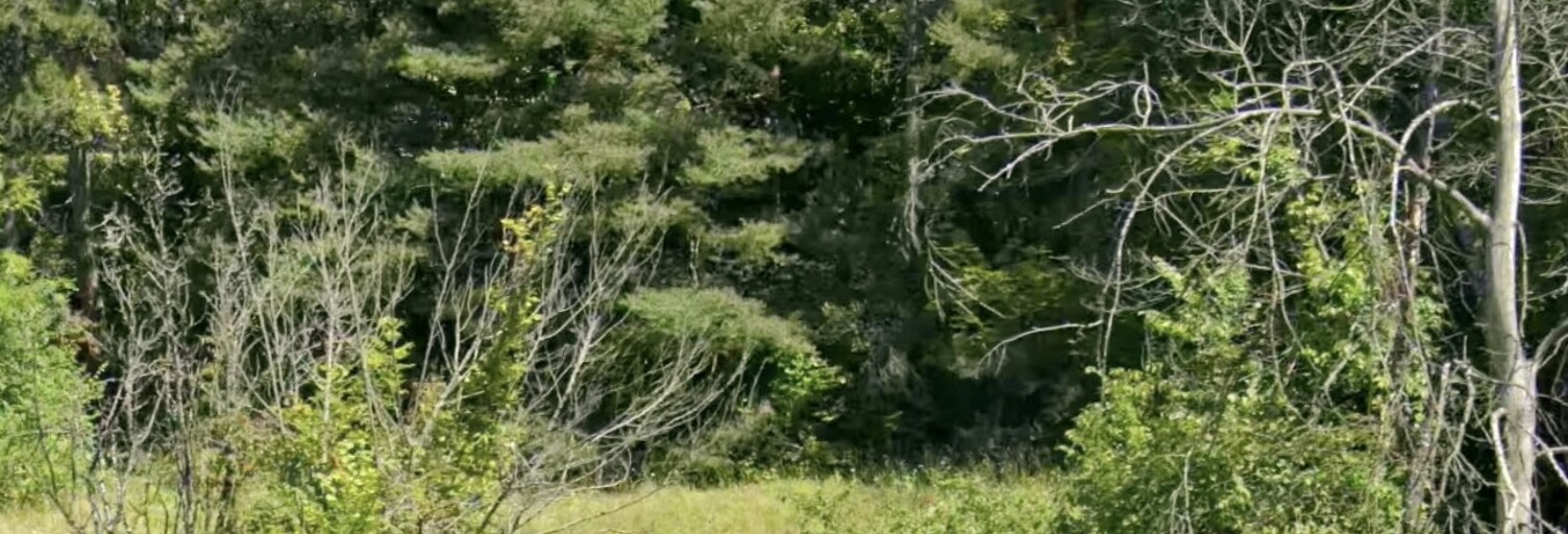 Terrain  717 m² à vendre à Saint-Sauveur (05200)