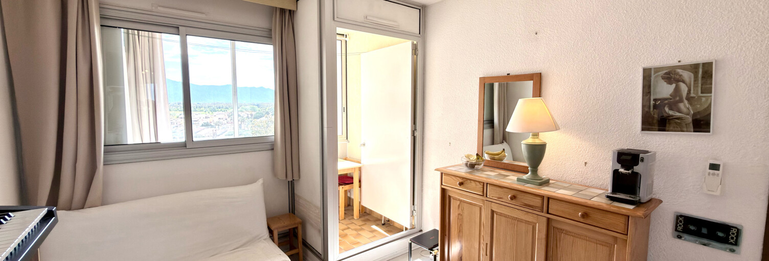 Appartement 1 Pièce 20 m² à vendre à Saint-Cyprien (66750)
