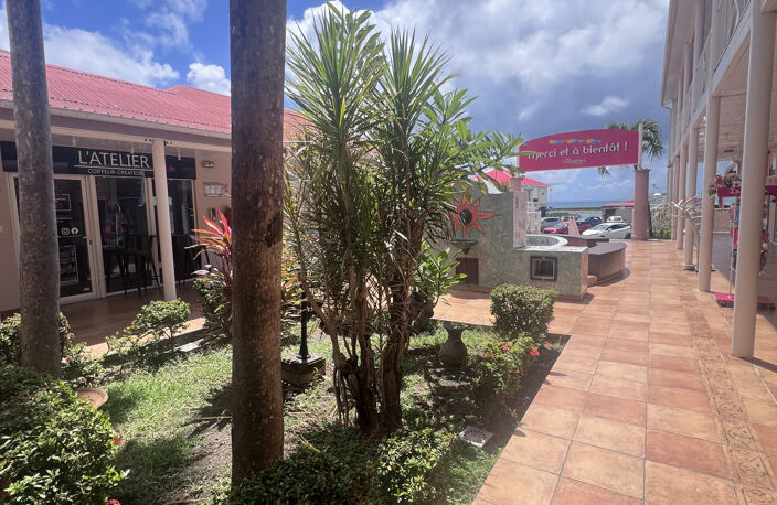 Spécial Investisseur : Local commercial de 53M2 en centre vi — photo 2