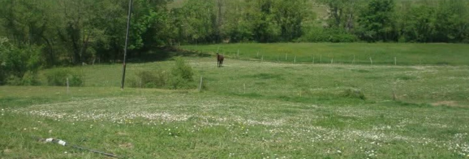 Maison 8 Pièces 251 m² à vendre à Festes-et-Saint-André (11300)