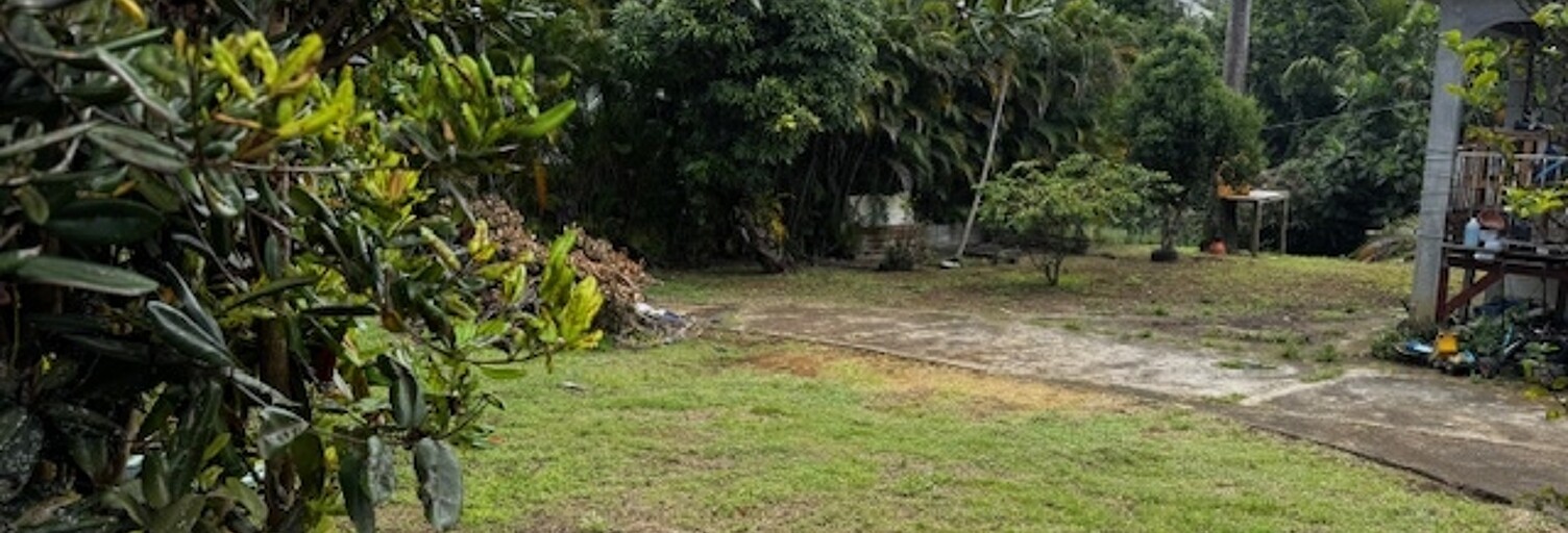 Maison 1 Pièce 100 m² à vendre à Petit-Bourg (97170)