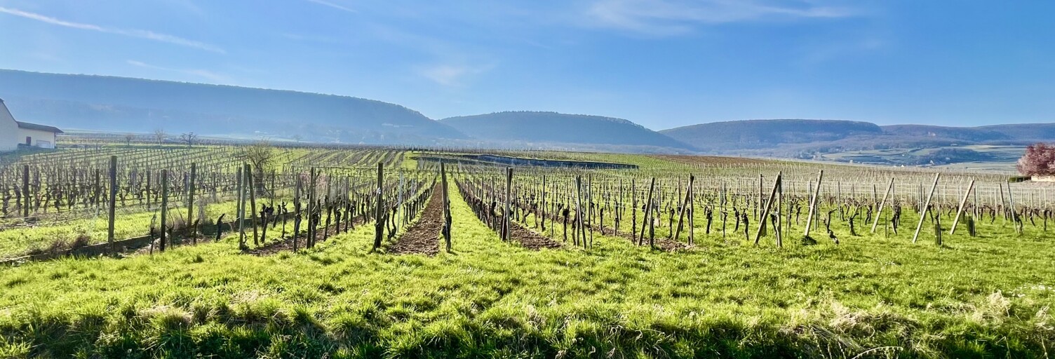 Terrain  1205 m² à vendre à Pfaffenheim (68250)