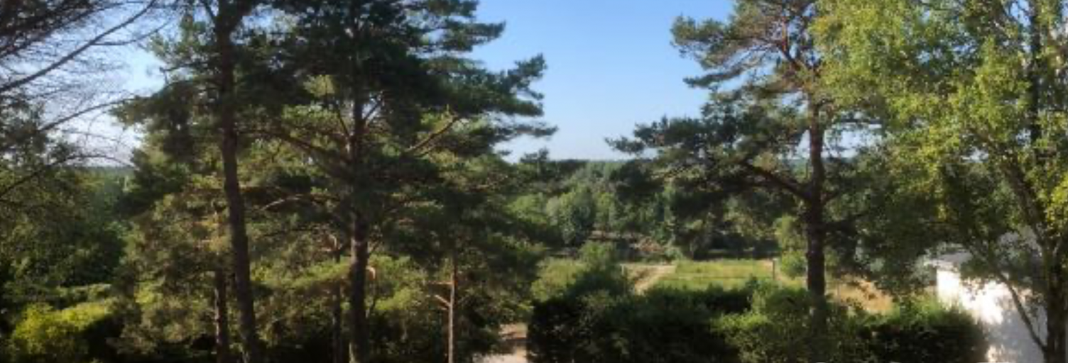 Terrain  2454 m² à vendre à Chissay-en-Touraine (41400)