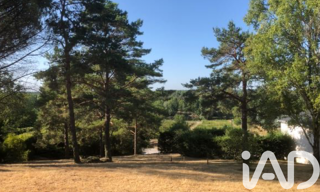 Terrain  2454 m² à vendre à Chissay-en-Touraine (41400)