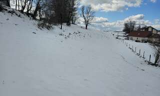 Photo N° 2