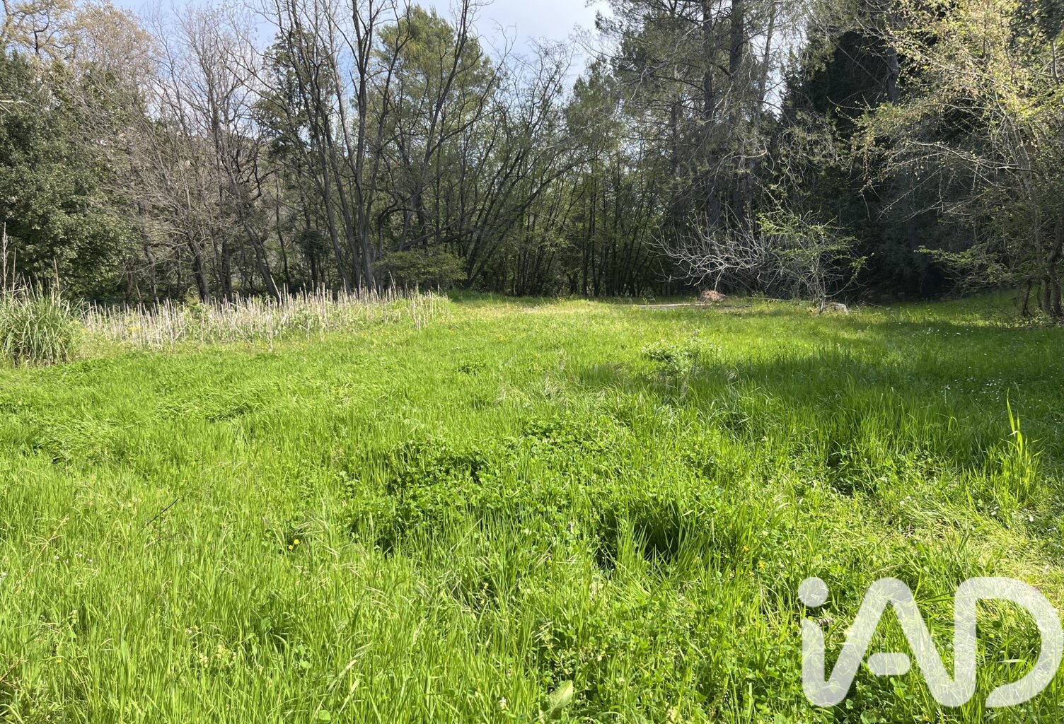 Vente Terrain à bâtir 2 385 m&sup2; — photo 1