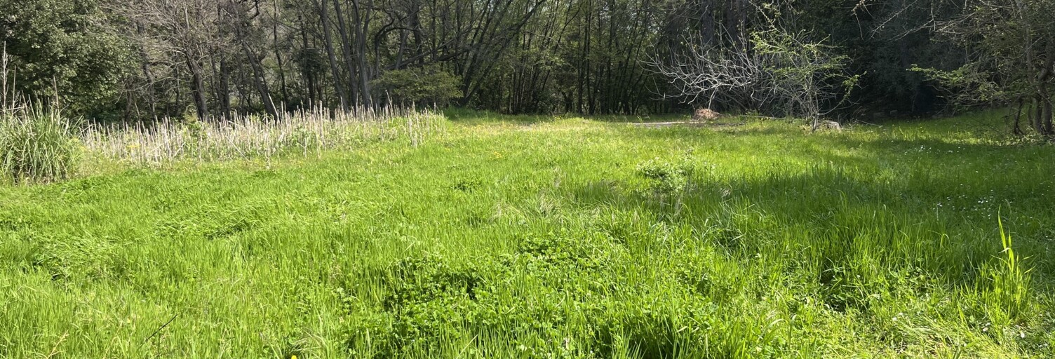 Terrain  2385 m² à vendre à Pégomas (06580)