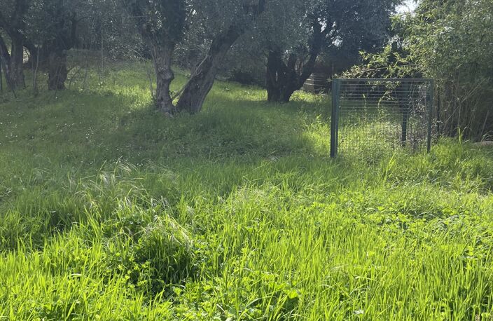 Vente Terrain à bâtir 2 385 m&sup2; — photo 4