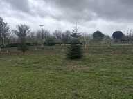 Vente Terrain 3 337 m&sup2; — photo 2