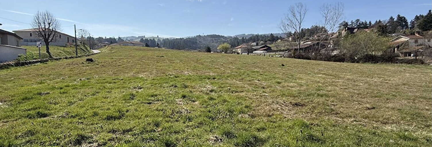 Terrain  850 m² à vendre à Saint-André-d'Apchon (42370)