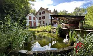 Maison 12 Pièces 292 m² à vendre à Puberg (67290)