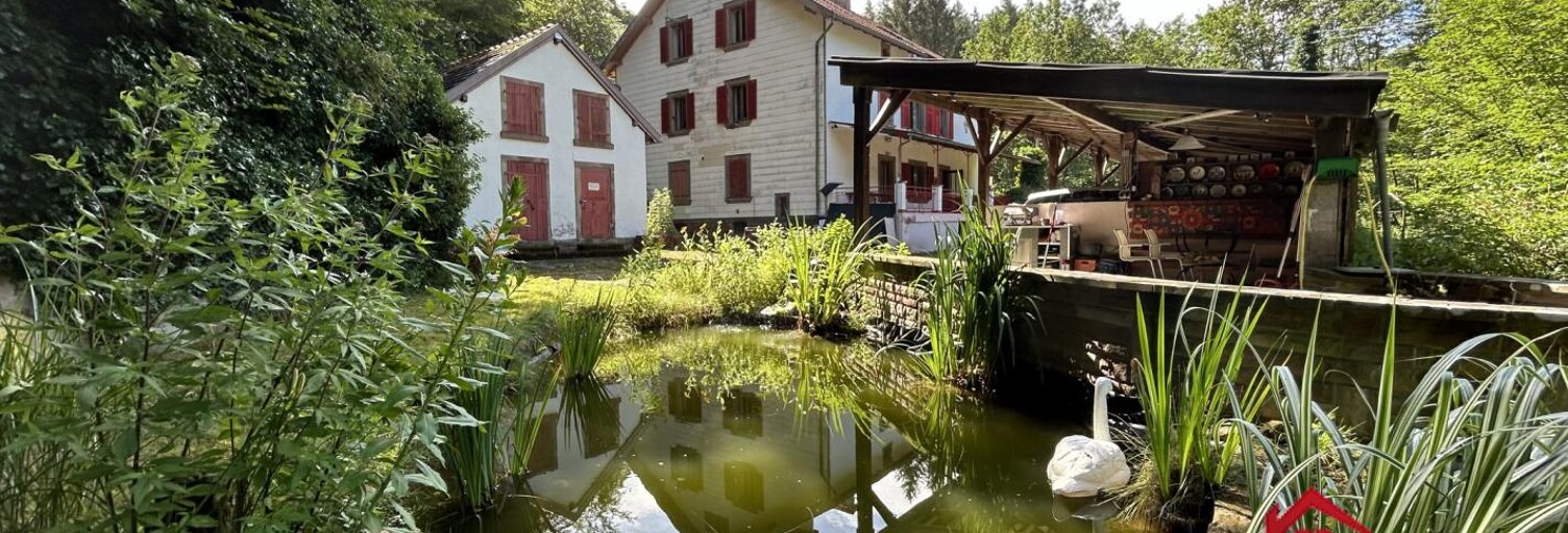 Maison 12 Pièces 292 m² à vendre à Puberg (67290)