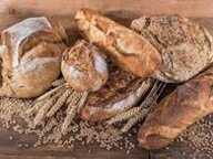 À VENDRE – Boulangerie-pâtisserie entièrement rénovée – Véritable opportunité dans le Vaucluse — photo 3