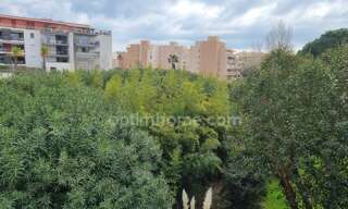 Appartement 3 Pièces 64 m² à vendre à Le Lavandou (83980)