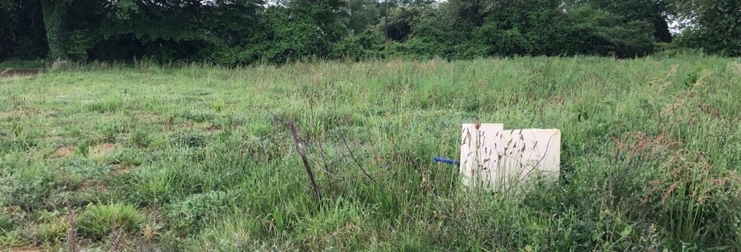Terrain  500 m² à vendre à Benquet (40280)