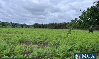 Terrain  1172 m² à vendre à Saint-Maurice-sur-Adour (40270)
