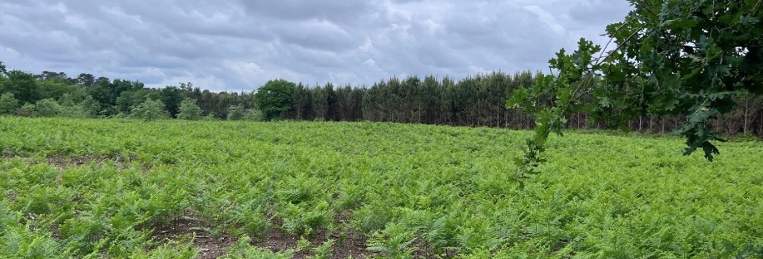 Terrain  1172 m² à vendre à Saint-Maurice-sur-Adour (40270)