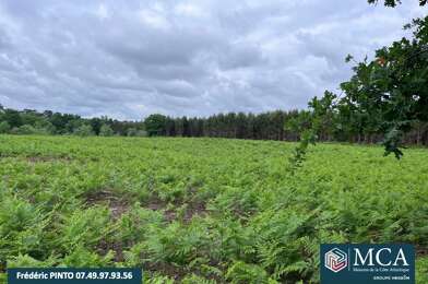 Terrain  75000 €