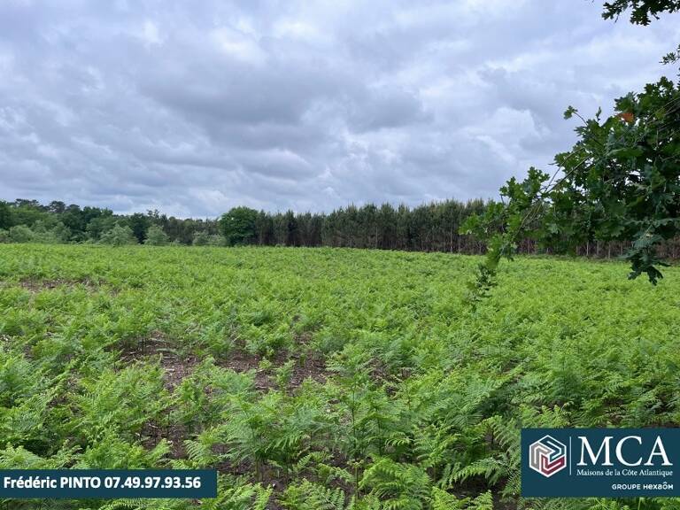 Terrain à bâtir à Saint-Maurice-sur-Adour (40270) — photo 1