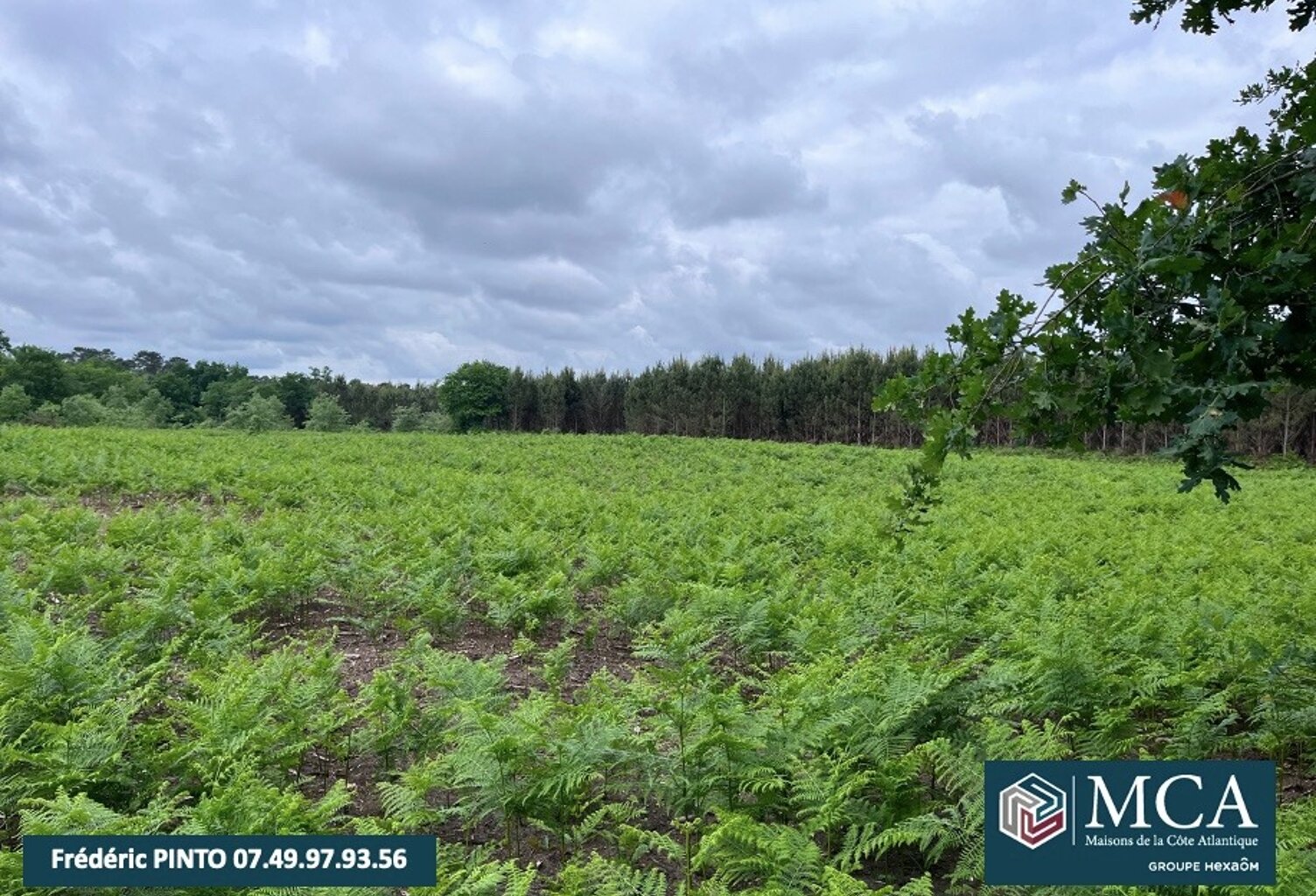 Terrain à bâtir à Saint-Maurice-sur-Adour (40270) — photo 1