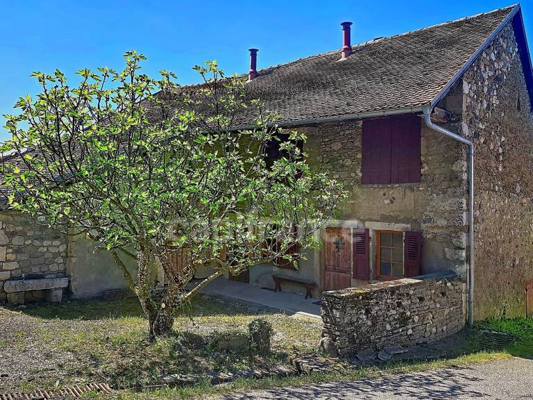 Confortable maison en pierres à FRANGY (74) — photo 1