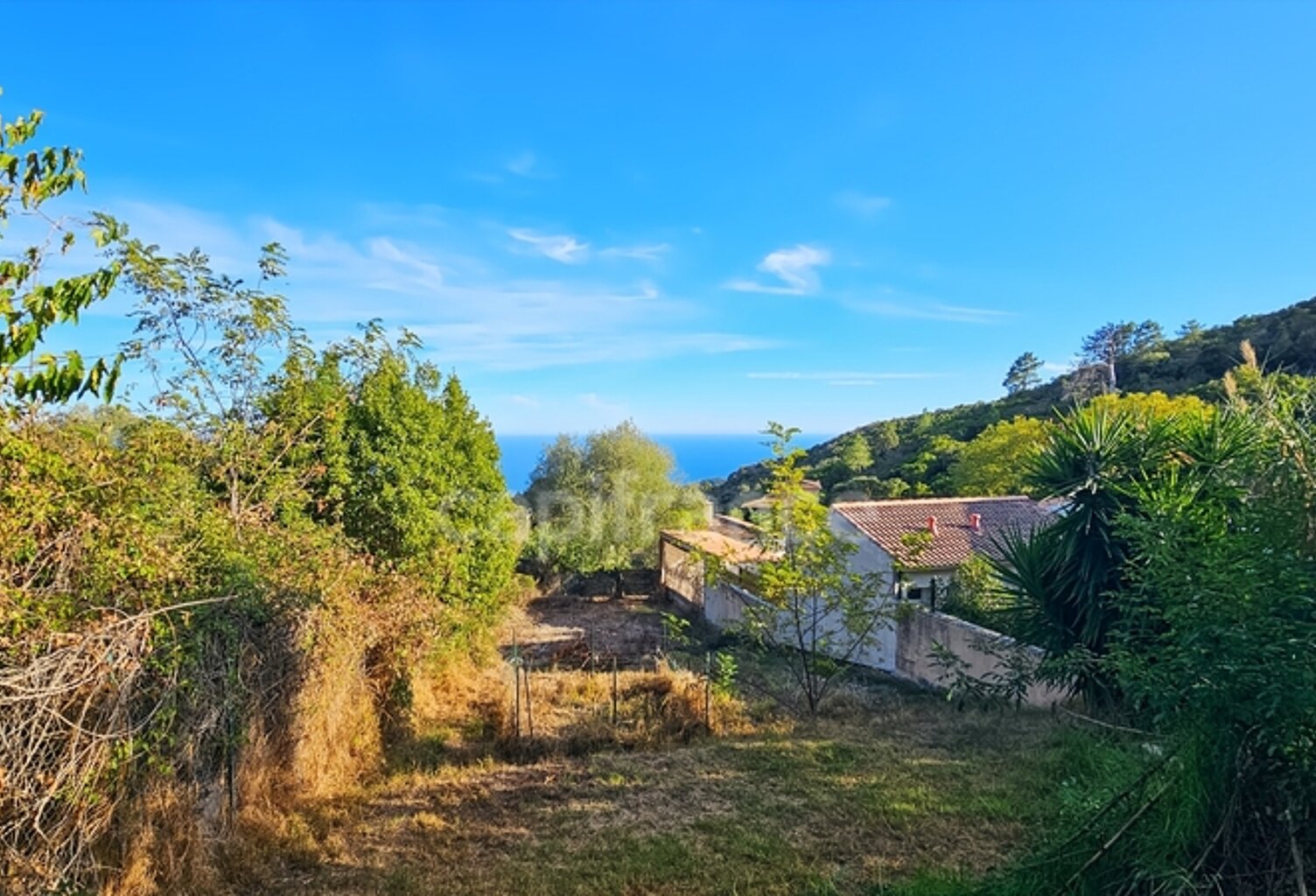 À vendre – Sari-Solenzara Maison vue mer panoramique et charme méditerranéen assuré ( vendu libre de toute occupation) — photo 1
