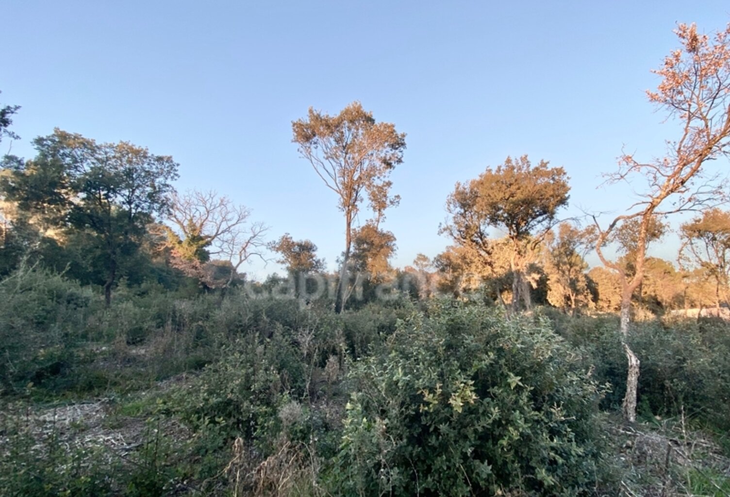 Terrain à vendre de 1 816 m2 proche de UZES (30) — photo 1