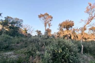 Terrain  184000 €