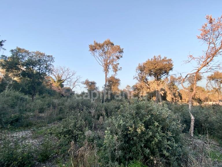 Terrain à vendre de 1 816 m2 proche de UZES (30) — photo 1