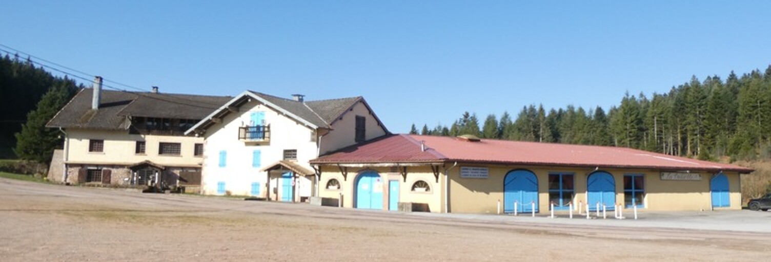 Maison 40 Pièces 3000 m² à vendre à Girmont-Val-d'Ajol (88340)