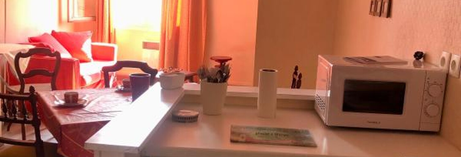 Appartement 1 Pièce 30 m² à louer à Tours (37000)