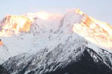 Appartement 1 pièces 700 €