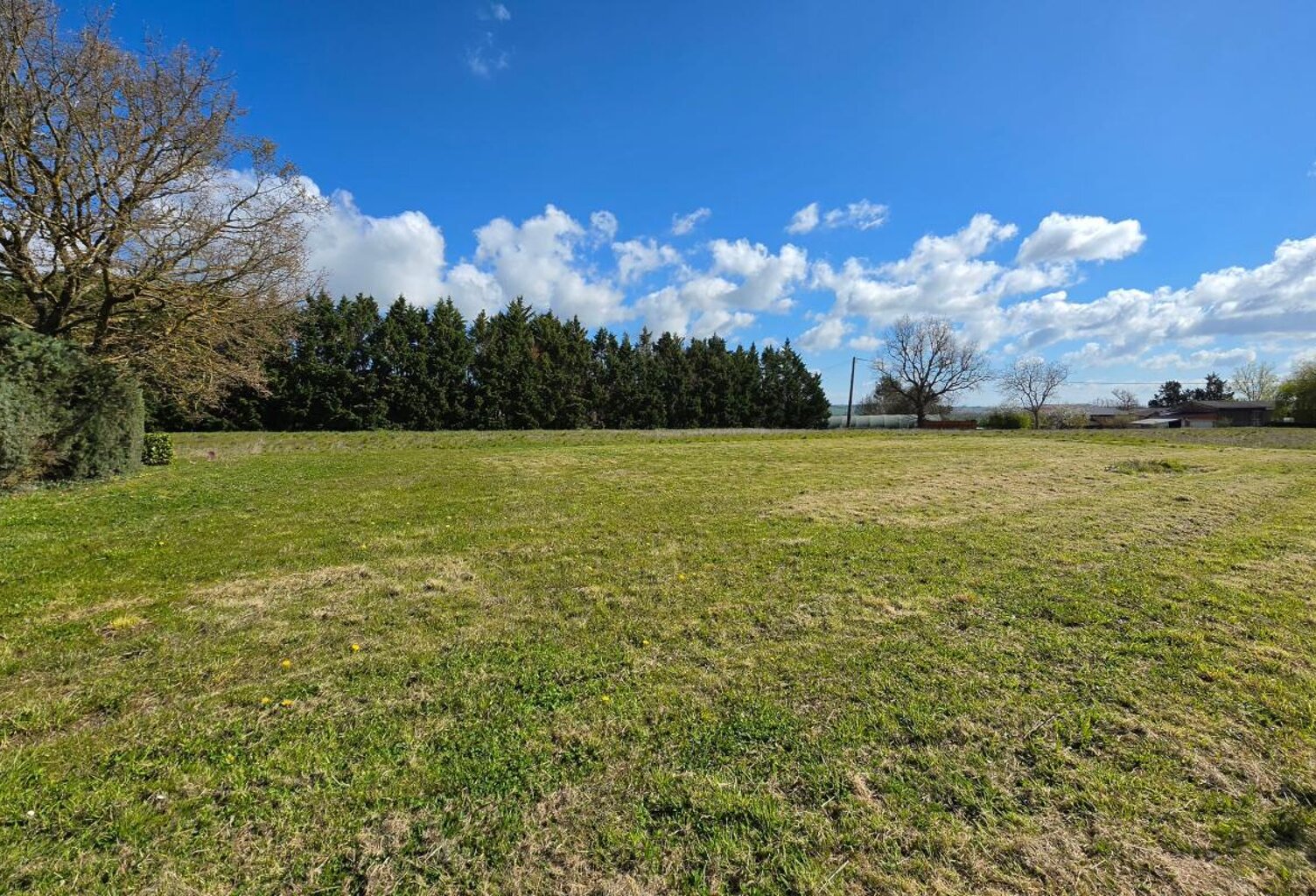 TERRAIN PLAT TARABEL 1020m² — photo 1