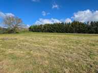 TERRAIN PLAT TARABEL 1020m² — photo 2
