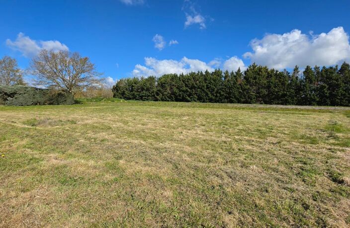 TERRAIN PLAT TARABEL 1020m² — photo 2