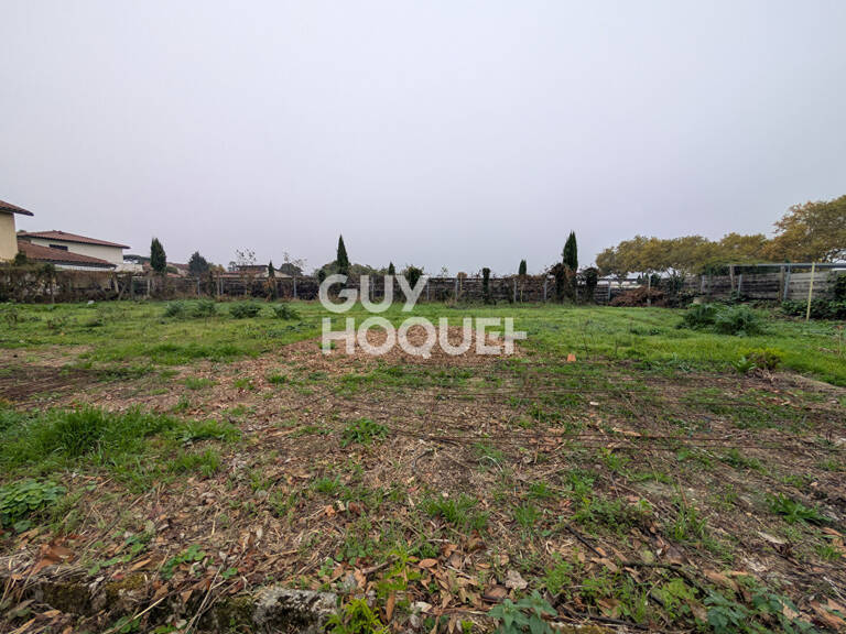 terrain — photo 1