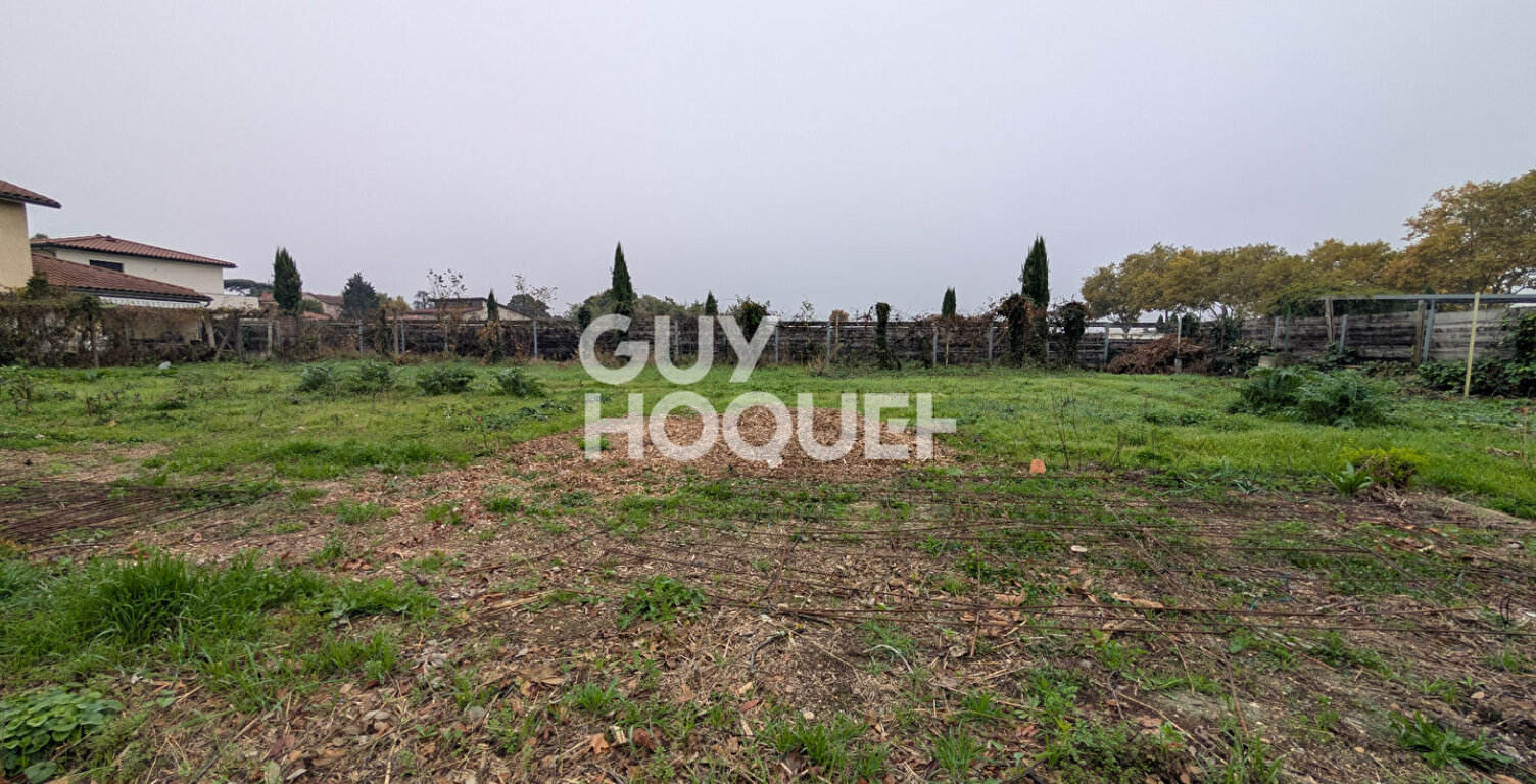 terrain — photo 1