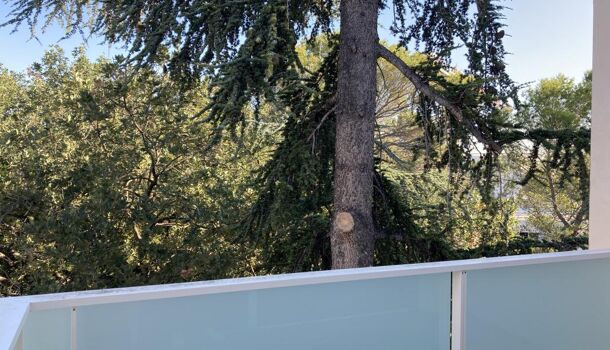 Appartement 3 pièces  à louer Nîmes 30900