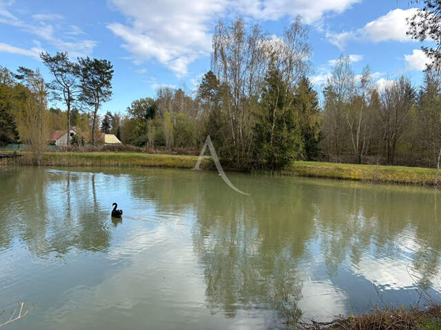 Propriété / 7 ha / plan d'eau/ dépendances — photo du bien