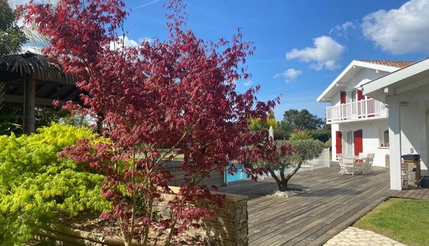 Villa / Maison 7 pièces  à vendre Bénesse-Maremne 40230