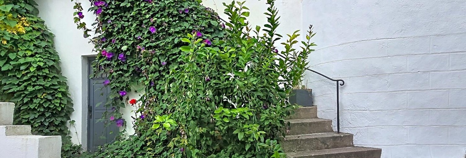 Maison 3 Pièces 50 m² à vendre à Bédarieux (34600)