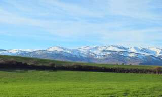 Terrain  817 m² à vendre à Err (66800)