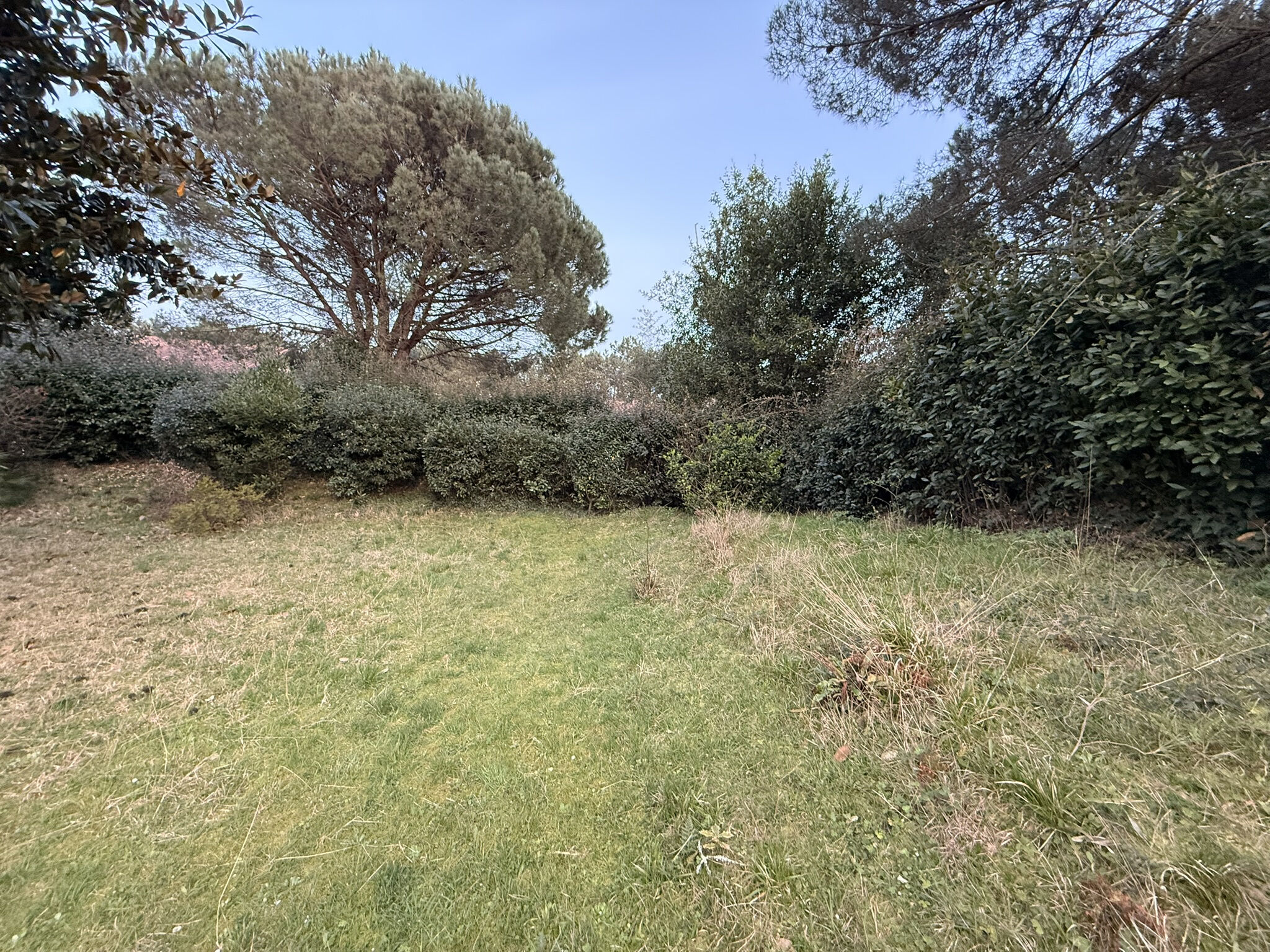 Villa / Maison 4 pièces  à vendre Anglet 64600