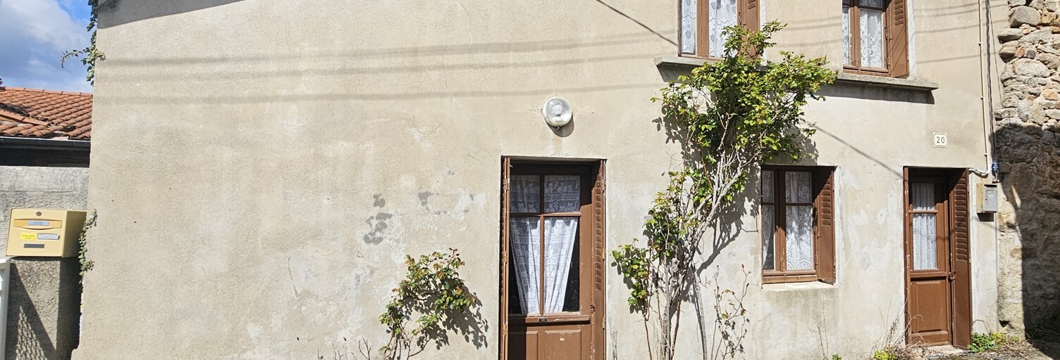 Maison  50 m² à vendre à Périgneux (42380)