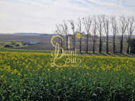 BATIMENT A MULTIPLES USAGES DE 250 M2 — photo 3