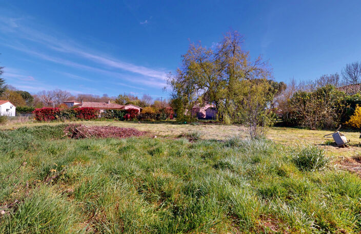 Grand terrain plat de 1500m2 — photo 4